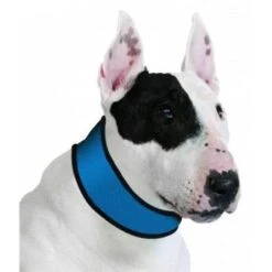Aqua Coolkeeper Coolkeeper Halsband XL -Trixie || ROYAL CANIN || Advance Verkoop aqua coolkeeper coolkeeper halsband xl 1