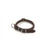 Beeztees Halsband Djenga 2 Beeztees Halsband Djenga -Trixie || ROYAL CANIN || Advance Verkoop beeztees halsband djenga