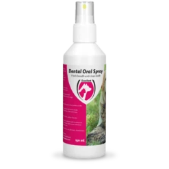 Excellent Dental Oral Spray