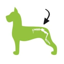 Excellent Dog Flex -Trixie || ROYAL CANIN || Advance Verkoop excellent dog flex 2