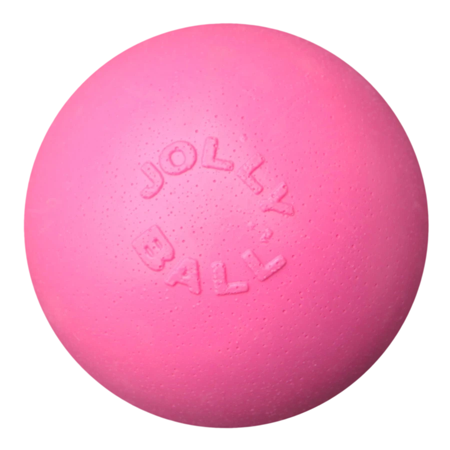 Jolly Pets Ball Bounce-n Play Roze 3 Jolly Pets Ball Bounce-n Play Roze