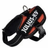 Julius K9 Julius-K9 IDC Powerharness Baby 2 (33-45cm) 2 Julius K9 Julius-K9 IDC Powerharness Baby 2 (33-45cm) -Trixie || ROYAL CANIN || Advance Verkoop julius k9 idc powerharness baby 2 33 45cm