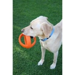 Junai.nl Grubber Voetbal -Trixie || ROYAL CANIN || Advance Verkoop junainl grubber voetbal 3