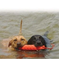 Kong Training Dummy 7 Kong Training Dummy -Trixie || ROYAL CANIN || Advance Verkoop kong training dummy 2