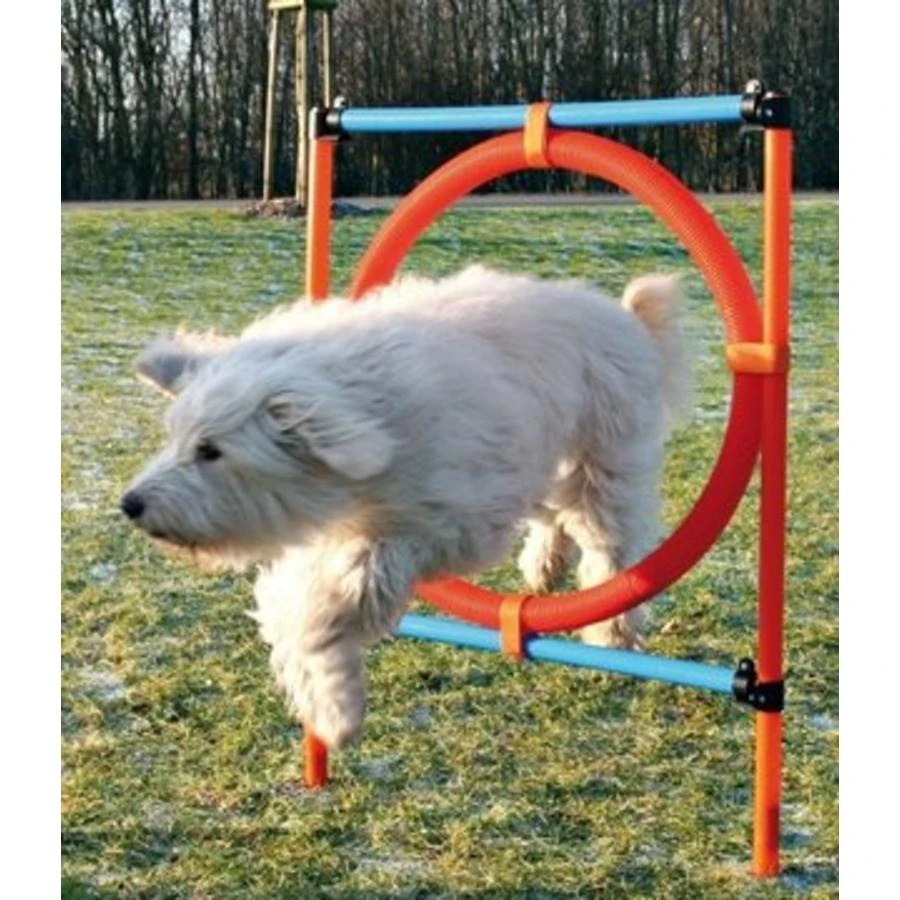 Pawise Trainingshoepel 4 Pawise Trainingshoepel - Afbeelding 2