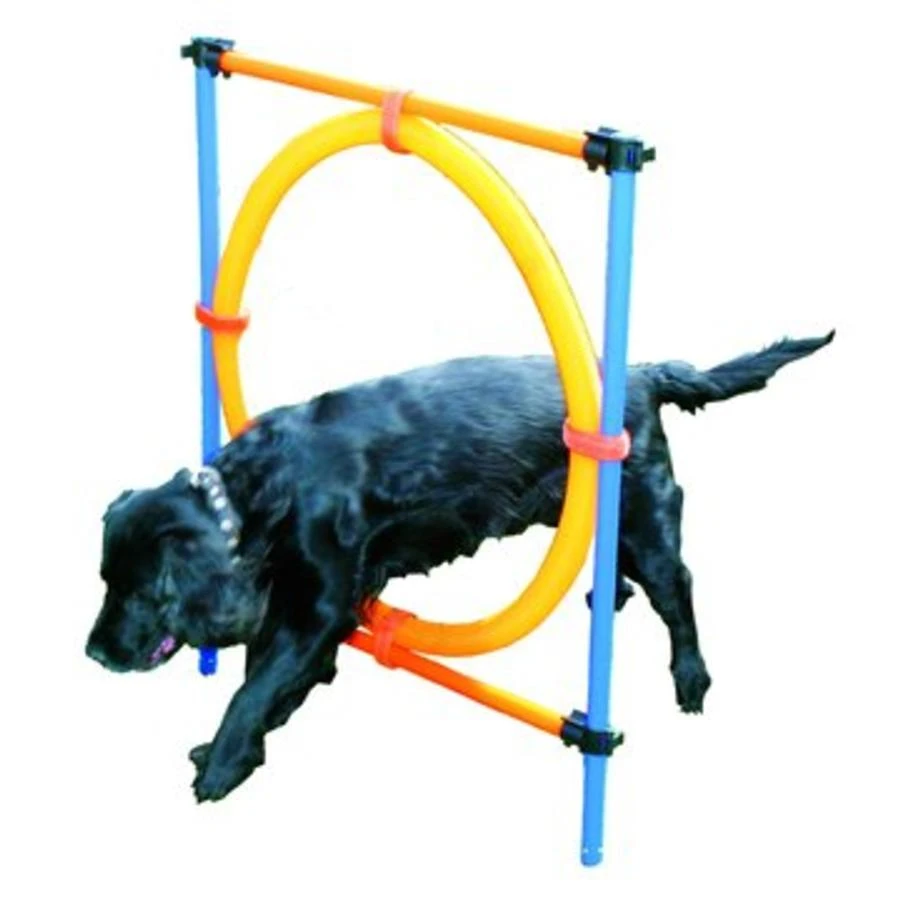 Pawise Trainingshoepel 3 Pawise Trainingshoepel