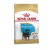 Royal Canin Rottweiler Junior 12 Kg -Trixie || ROYAL CANIN || Advance Verkoop royal canin rottweiler junior 12 kg