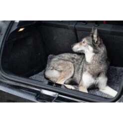 Royal Dry Honden- Deurmat -Trixie || ROYAL CANIN || Advance Verkoop royal dry honden deurmat 2