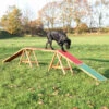 Trixie Fun Agility Loop 1 Trixie Fun Agility Loop -Trixie || ROYAL CANIN || Advance Verkoop trixie fun agility loop
