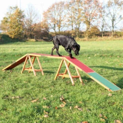Trixie Fun Agility Loop