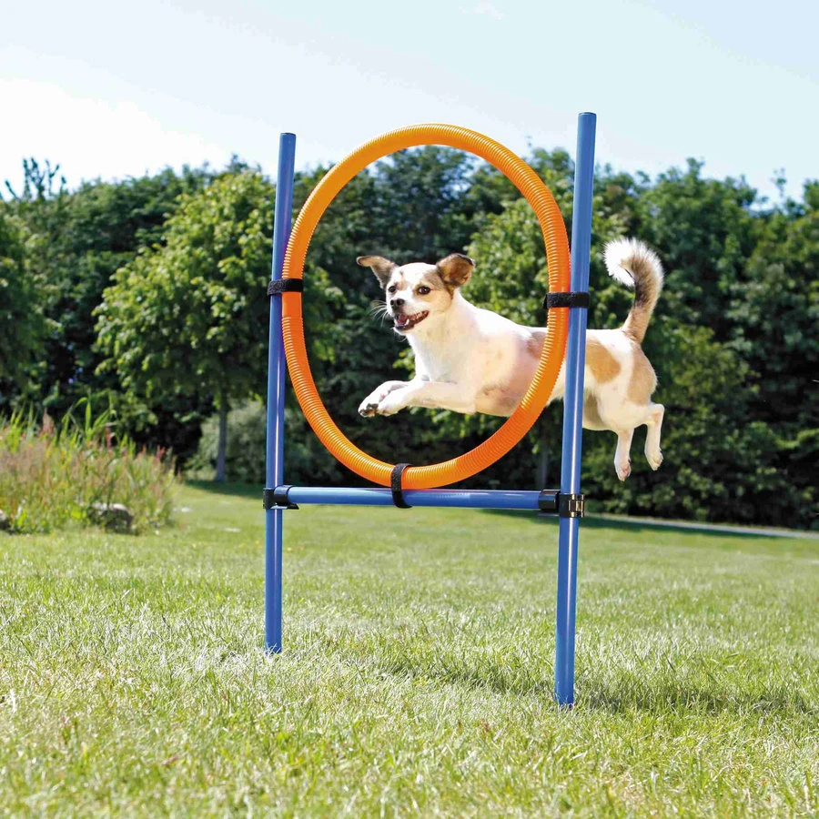 Trixie Fun Agility Ring 4 Trixie Fun Agility Ring - Afbeelding 2