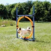 Trixie Fun Agility Ring -Trixie || ROYAL CANIN || Advance Verkoop trixie fun agility ring