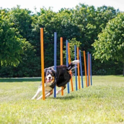 Trixie Fun Agility Slalom