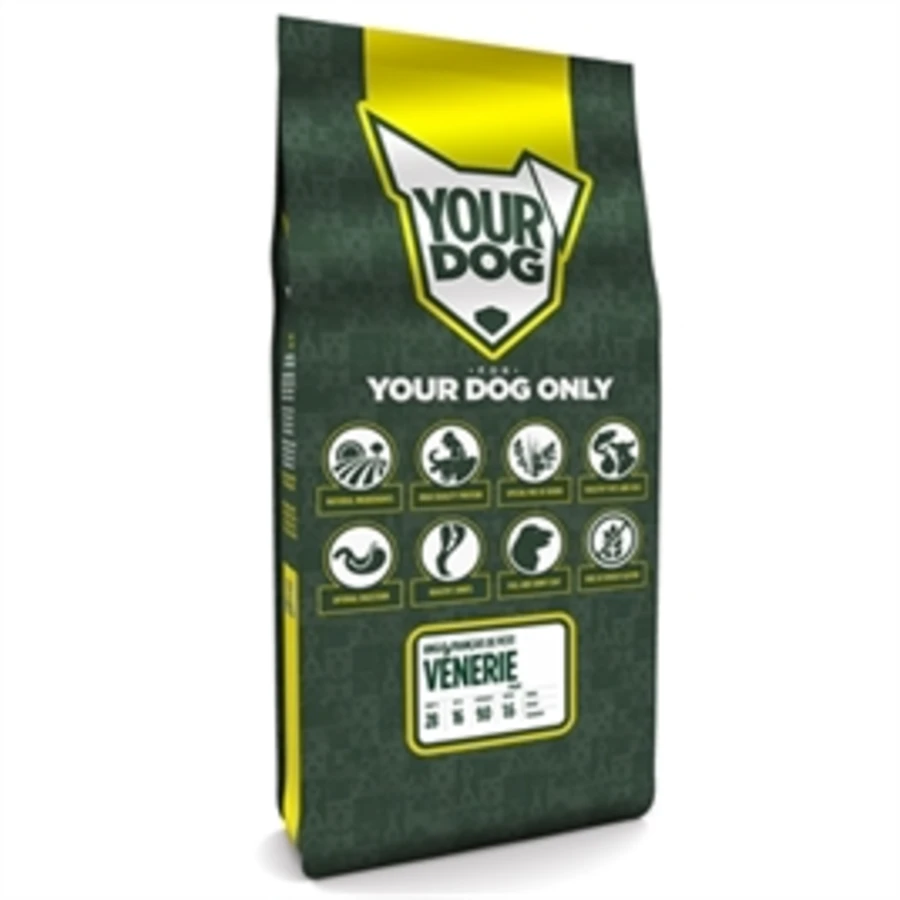 Yourdog Anglo-Français De Petit Vénerie Senior 3 Yourdog Anglo-Français De Petit Vénerie Senior