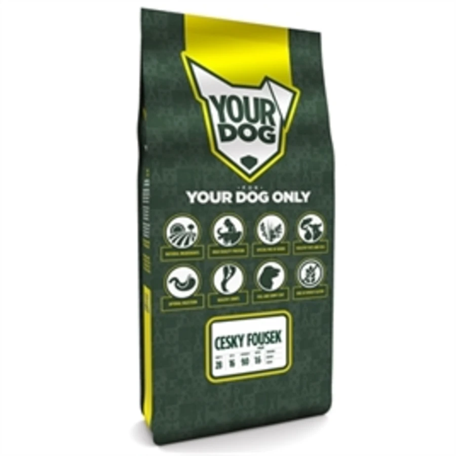 Yourdog Cesky Fousek Puppy 3 Yourdog Cesky Fousek Puppy