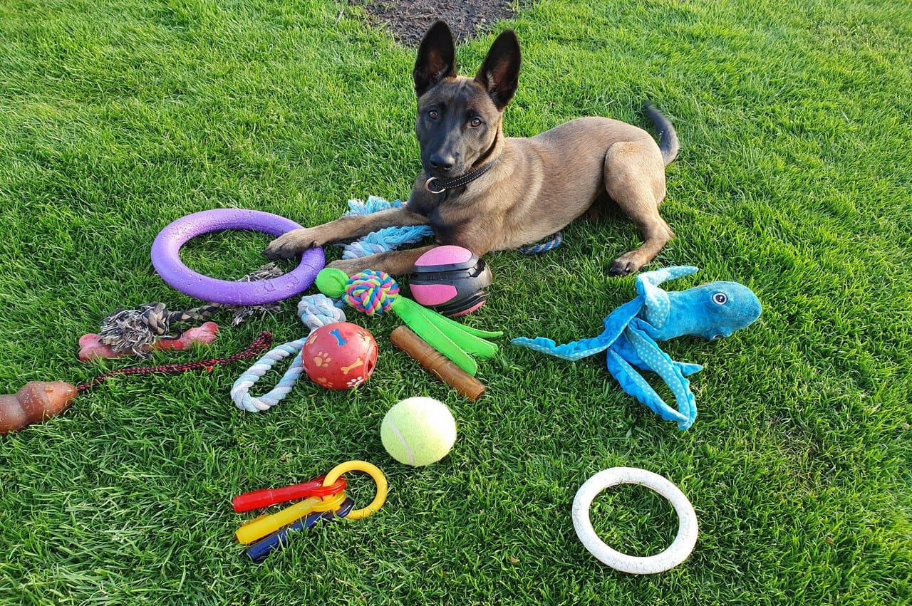 Trixie || ROYAL CANIN || Advance Verkoop 25 Trixie || ROYAL CANIN || Advance Verkoop -Trixie || ROYAL CANIN || Advance Verkoop puppytrainen.nl 17